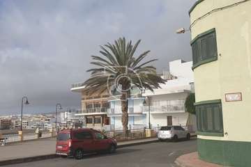 Poda y limpieza de las palmeras de Salinetas y Clavellinas/TA.